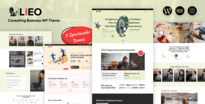 LIEO - Consulting Theme