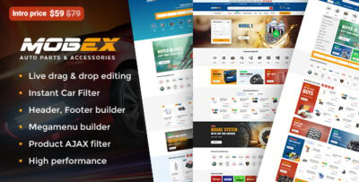 Mobex - Auto Parts WordPress Theme