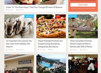 MyThemeShop SociallyViral WordPress Theme