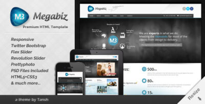 Megabiz Responsive HTMLCSS Template