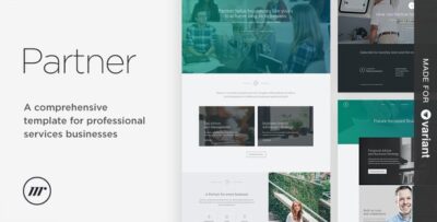 Partner accounting and law template with Variant Page Builder
