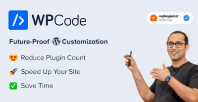 WPCode Pro