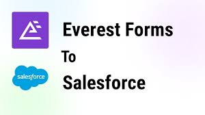 Everest Forms – Salesforce