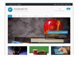 ThemeGrill – Accelerate Pro