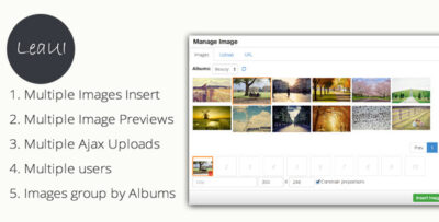 TinyMCE4 Album Image Manager